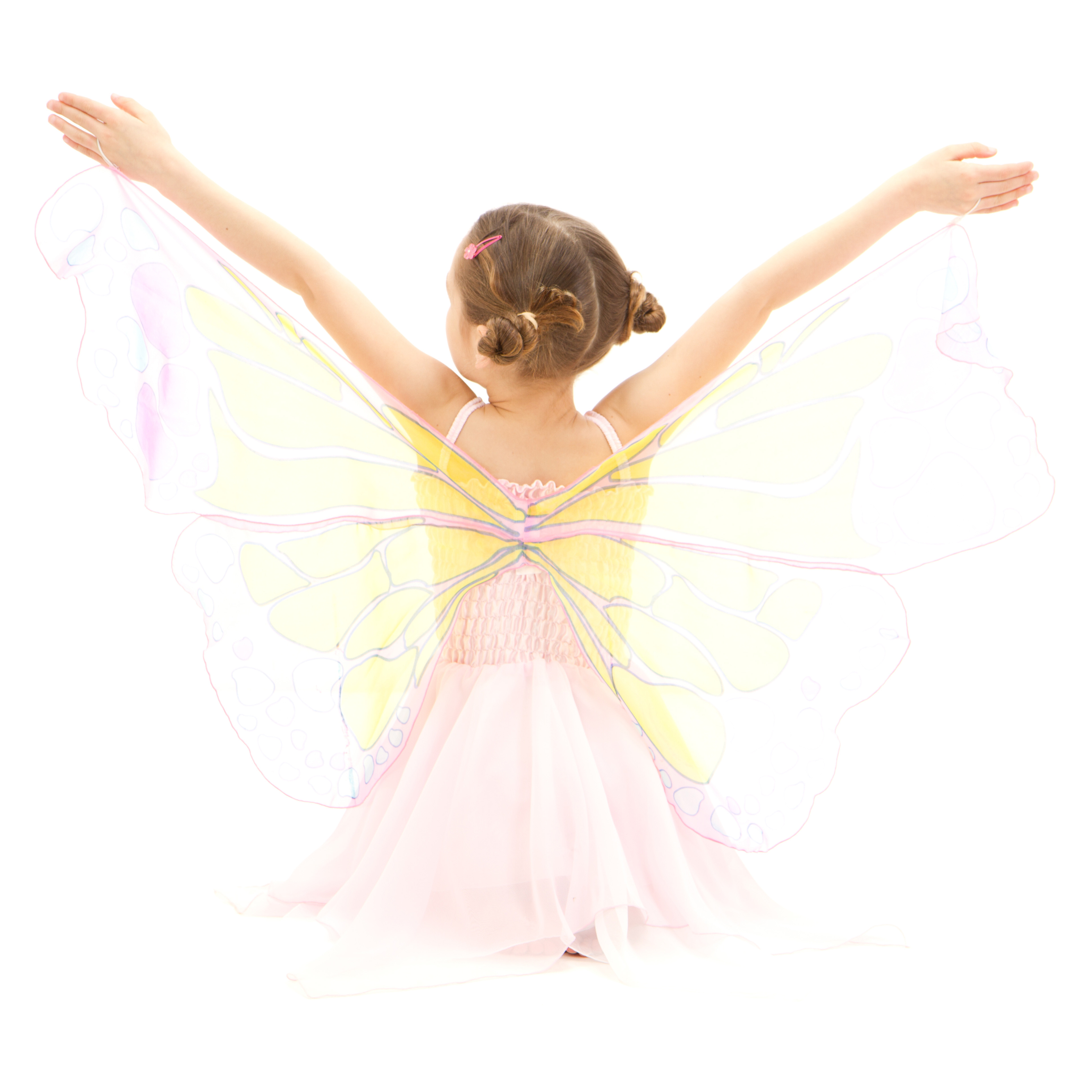 Girl child in kids butterfly ballerina costume
